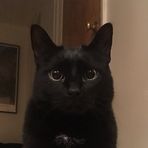 Elijah Tyler - Facebook