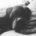 Elijah Upton - @tear_drop_jr - Instagram