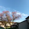 Elijah Vasquez - @ty_eli.alt - TikTok