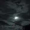 Elijah Walsh613 - @elijahwalsh1 - TikTok