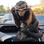 Elijah Walter - @eli._.walter - Instagram