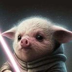 Elijah Whitaker - Facebook