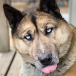 Elijah Wireman - @elijahjwireman - Instagram
