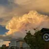 Elijah W - @elijah.wolf_ - TikTok