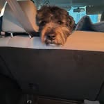 Elijio Martinez - @elijia1102 - Instagram