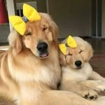 Elimar Rocha - @elimar.alves.73 - Instagram