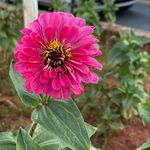 Elimar Rocha - @ipa_futuro - Instagram