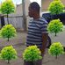 Jackson Elimu - Facebook