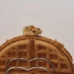 elin - @elin._.bakery - Instagram
