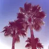 †𝒮𝓎𝓃𝒹𝓎† - @elinxa_berry - TikTok