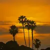 Elin Campbell - @elin.campbell - TikTok
