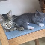 Eli_and_Gray - @eli_n_gray - Instagram