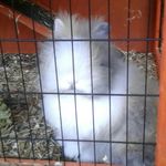 elin green - @elingreen2009 - Instagram