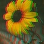 k_______/______/🌻 - @elink.im___ - Instagram