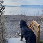 Elin Langberget - @elin_langberget - Instagram