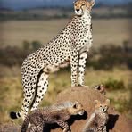 Eline Nyangi Leonard - Facebook