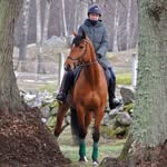 Elin Lindén - @elinlindendressage - Instagram