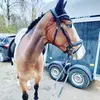 elinlindberg379 - @elinlindberg379 - TikTok