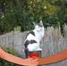 Elin Miller - Facebook