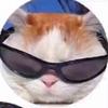 elinpayne12 - @___idontusethisaccount1_ - TikTok