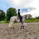 Elin Petersen - @petersen_specal - Instagram