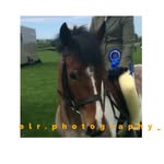 Elin Robinson🏇 - @elr.photography_ - Instagram
