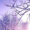 Elin_Roman - @adrianroman635 - TikTok
