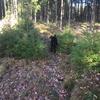 Elin - @elinschmidt1 - TikTok