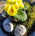 Elin Schmidt - Facebook