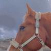 elina_stark - @elina_stark - TikTok