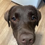 Stuart Allan - Facebook