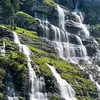 Elin Weiss - @elinweiss.swiss - TikTok