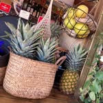Eline Martin - @pineapplecaravandreams - Instagram