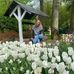 Eline Schaap - Facebook