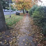 Eleanor Atkinson - @el3anor_atkinson - Instagram