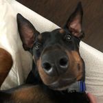 Eleanor Avery - @gabesmom12 - Instagram