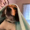 Eleanor burbakers - @elinor_burbakers - TikTok