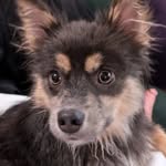 Elinor Edward Baker the Fierce - @little.elinor.the.fierce - Instagram