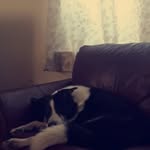 elinor - @elinorbaker22 - Instagram