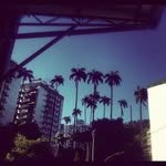 Elinor Bartone - @elinorbartone - Instagram