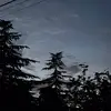 ellie.barton2 - @ellie.barton2 - TikTok