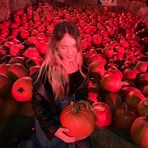 Elinor Purk - Facebook