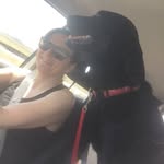 Eleanor Boyle - @labradorlodge - Instagram