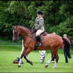 Eleanor Boyle - @eleanorb2001 - Instagram