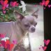 Eleanor Cantrell - Facebook