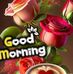 Alinur Gazi - Facebook