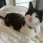 Elinor Cross - @cross.elinor - Instagram