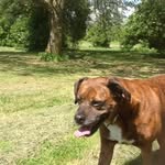 Eleanor Davidson - @eleanor1956 - Instagram