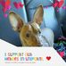 Eleanor Dyer - Facebook