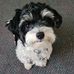 Eleanor Bookman-Epstein - Facebook